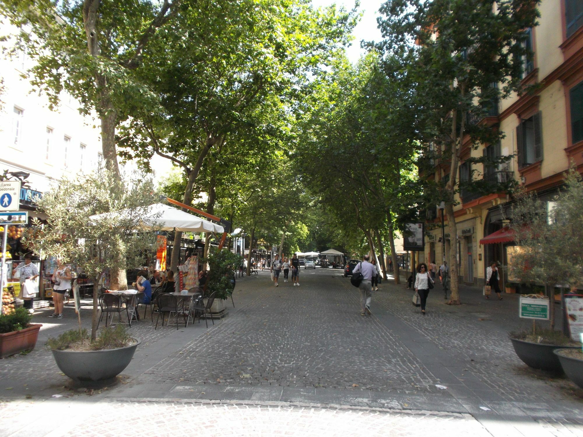 Vi Aspetta